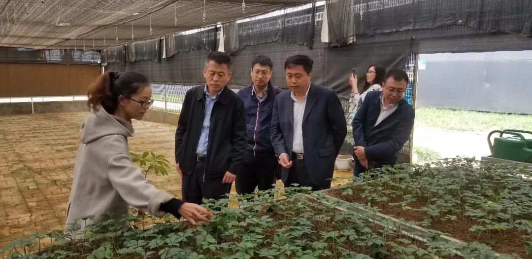 首页- 腾博官网诚信为本,专业服务!